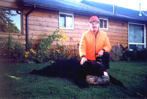 Ontario Black bear Hunting